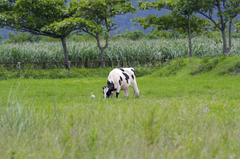 20160923102125352535